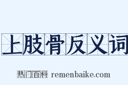 上肢骨反义词是什么意思的图片